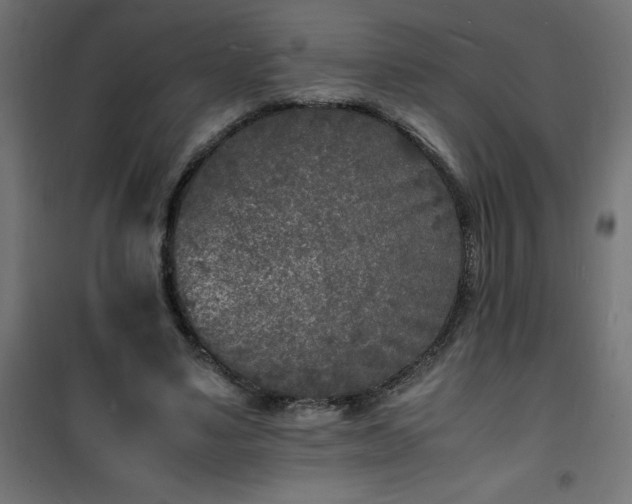 X0000101480491200807141418