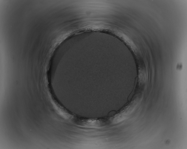 X0000101480493200807141418