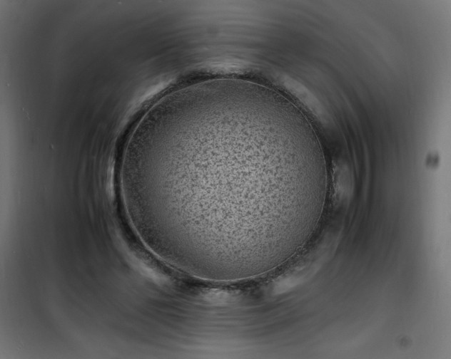 X0000101480494200807141418