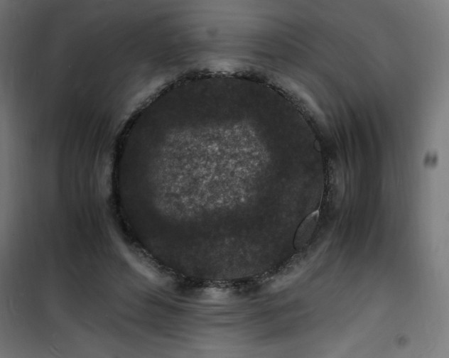 X0000101480496200807141418