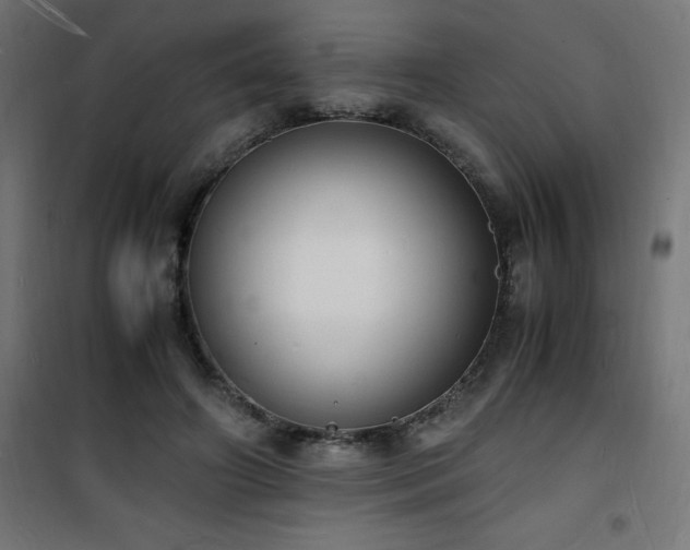 X0000101480498200807141418