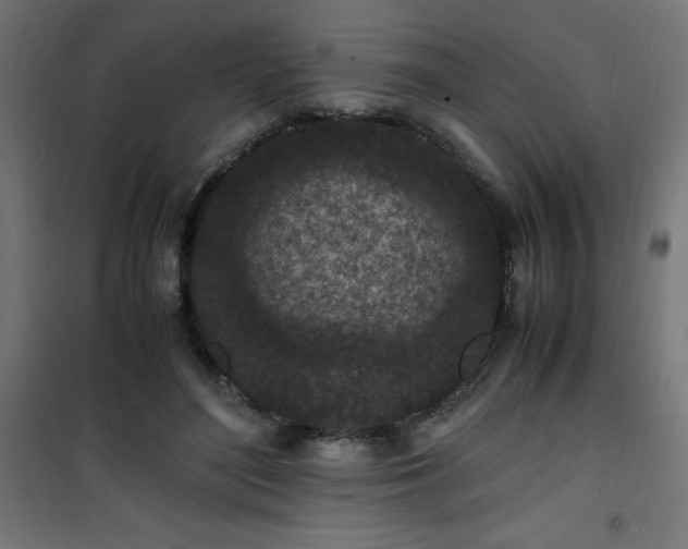 X0000101480500200807141418