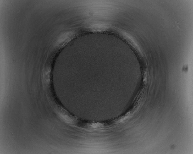 X0000101480501200807141418