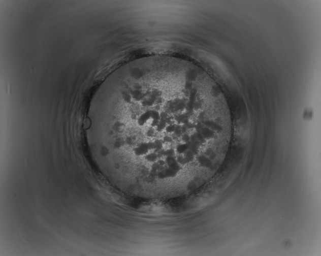 X0000101480503200807141418