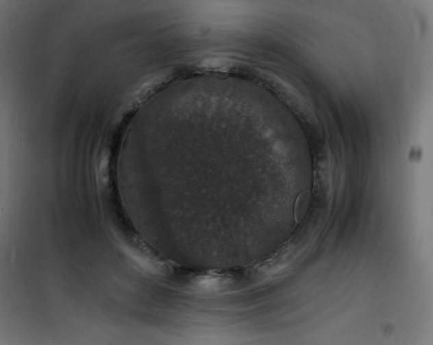 X0000101480504200807141418