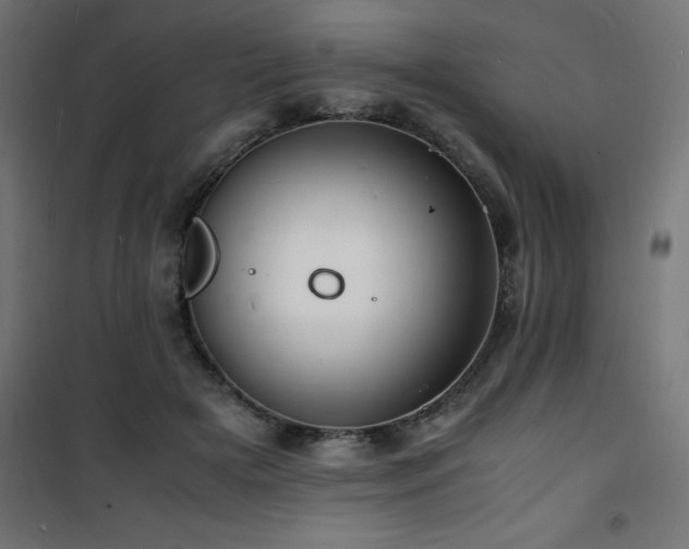 X0000101480505200807141418