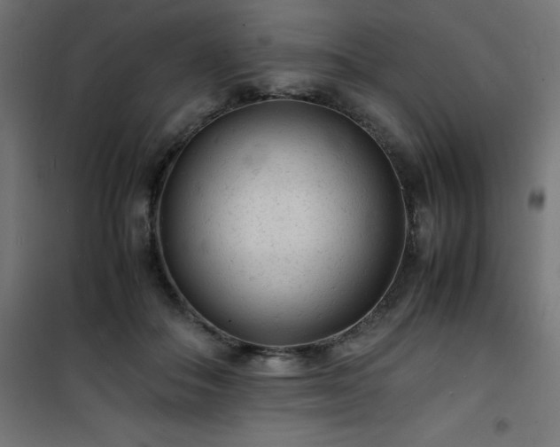 X0000101480506200807141418