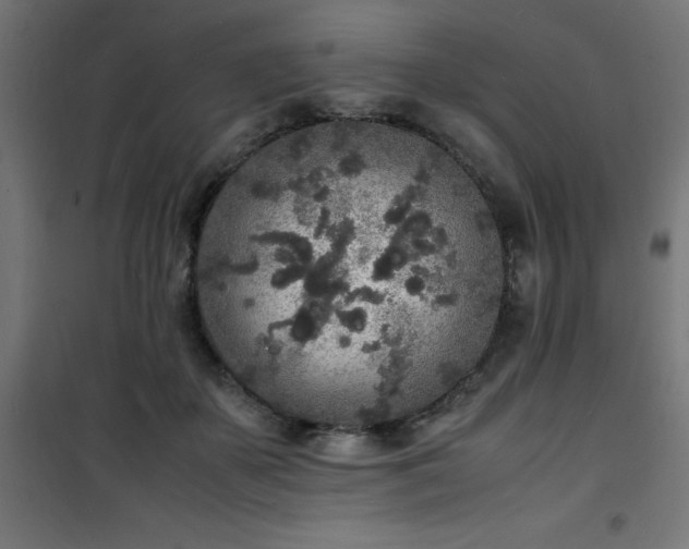 X0000101480507200807141418