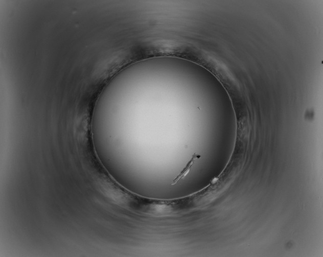 X0000101480509200807141418