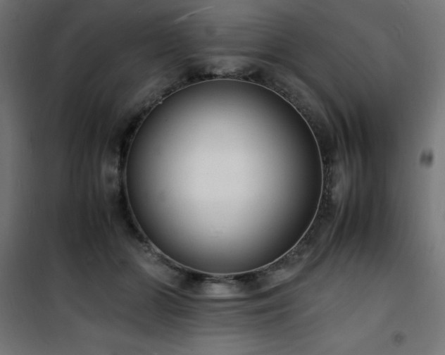 X0000101480510200807141418