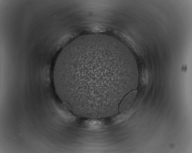 X0000101480512200807141418