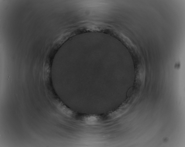 X0000101480513200807141418