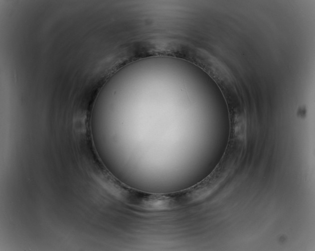 X0000101480514200807141418