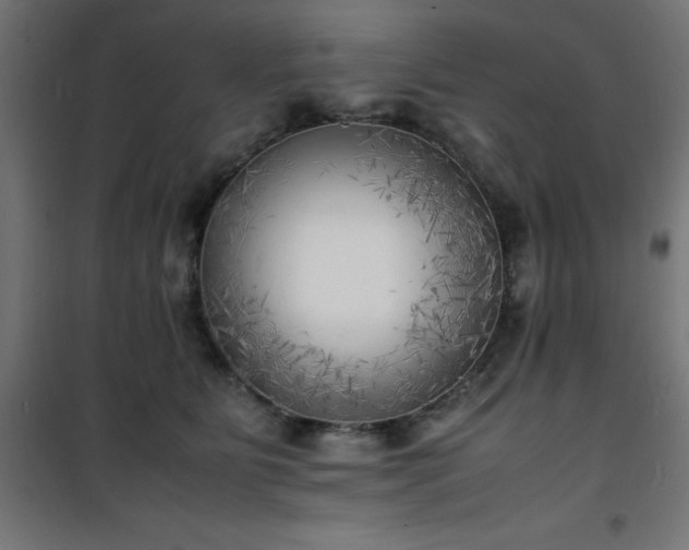 X0000101480515200807141418