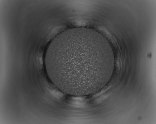 X0000101480516200807141418