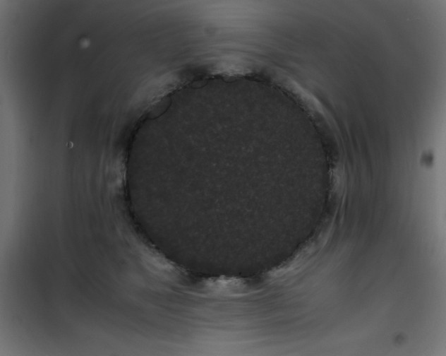 X0000101480517200807141418