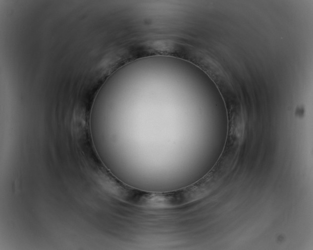 X0000101480518200807141418