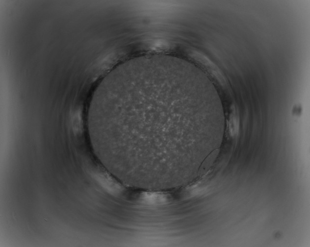 X0000101480520200807141418