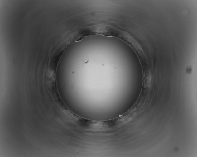 X0000101480521200807141418