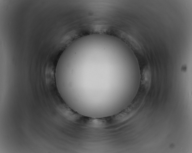 X0000101480522200807141418