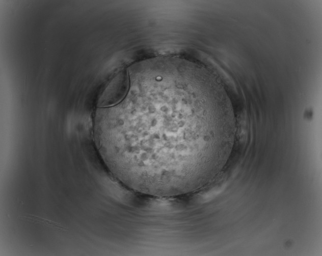 X0000101480523200807141418