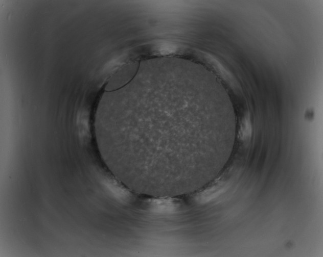 X0000101480524200807141418