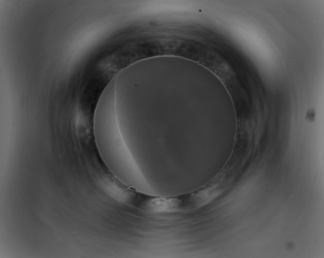 X0000101480526200807141418