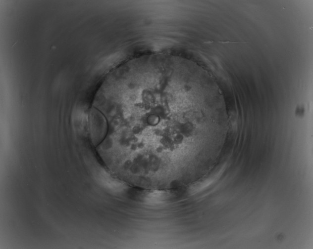 X0000101480527200807141418