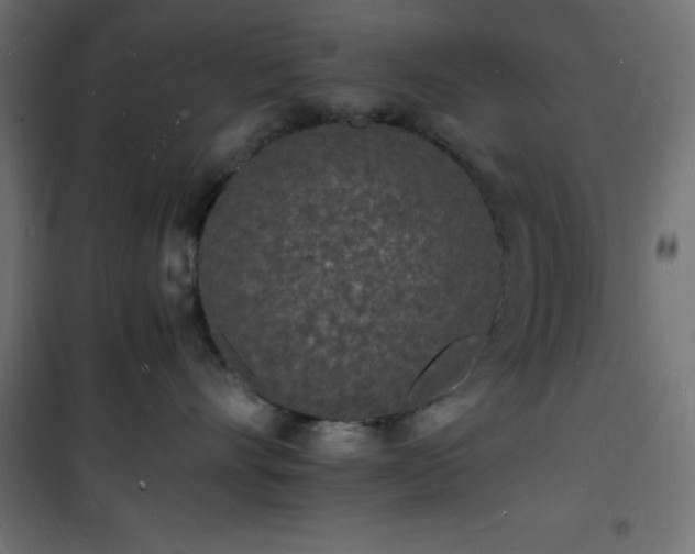 X0000101480528200807141418