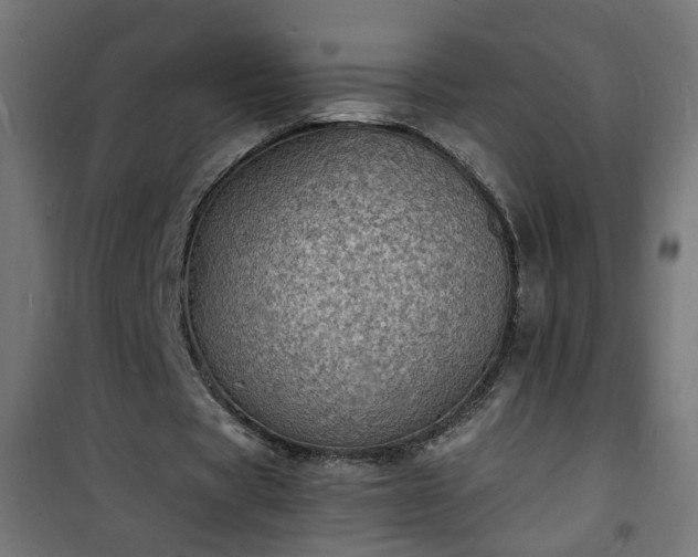 X0000101480529200807141417