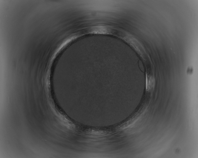 X0000101480531200807141417