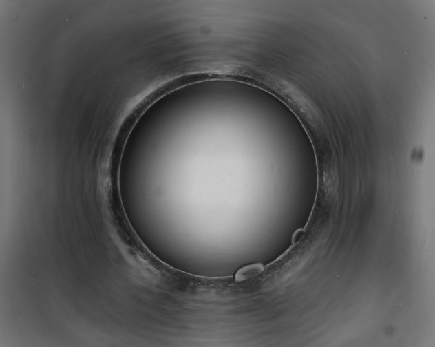 X0000101480532200807141417