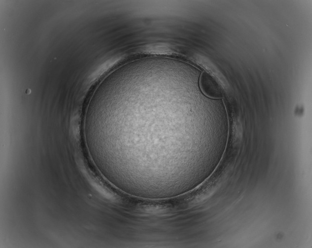 X0000101480533200807141417