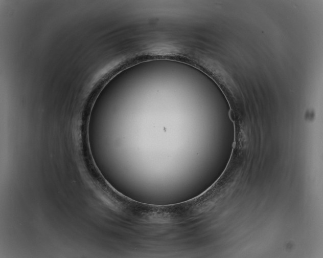 X0000101480535200807141417