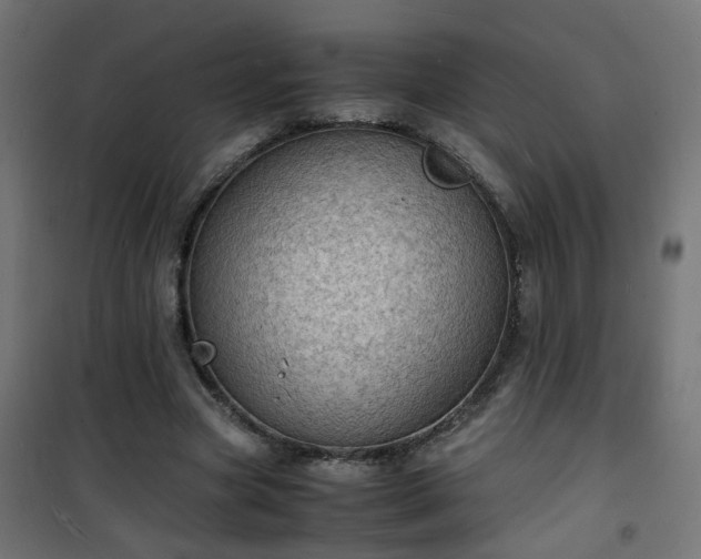 X0000101480537200807141417