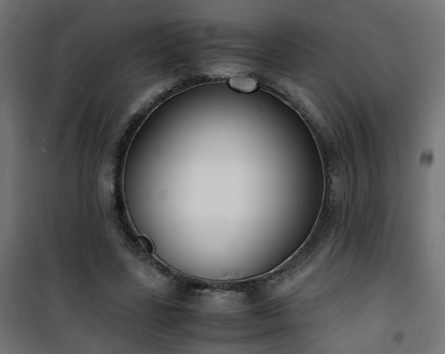 X0000101480539200807141417