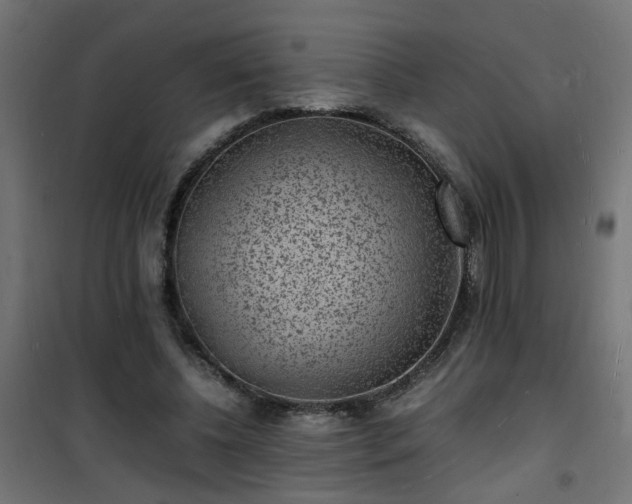 X0000101480540200807141417