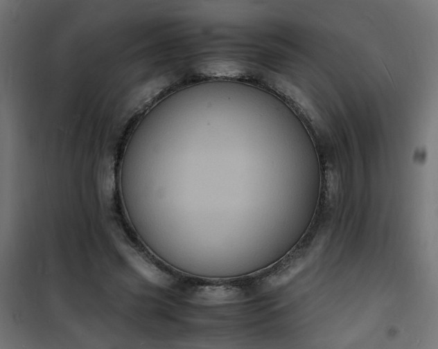 X0000101480541200807141417