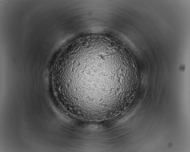 X0000101480542200807141417