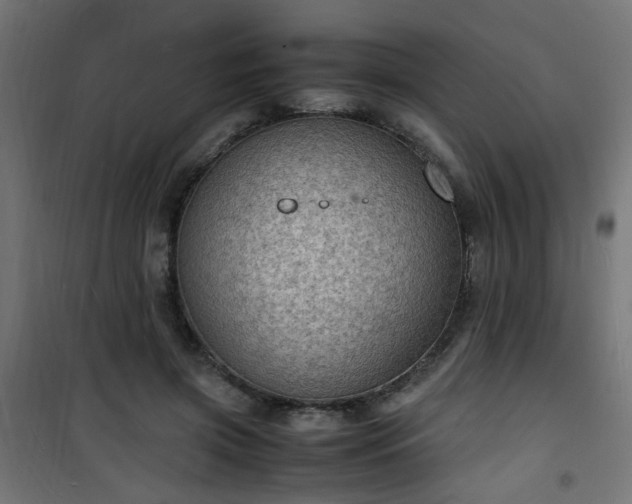 X0000101480549200807141417