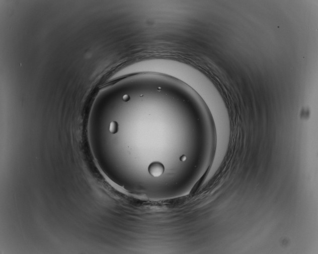 X0000101480552200807141417