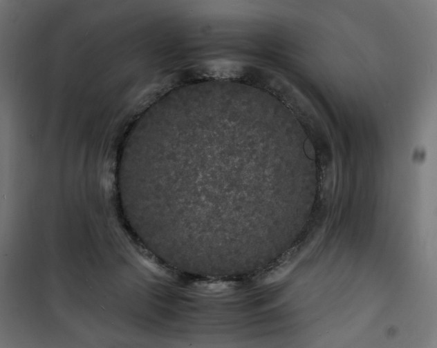 X0000101480553200807141417