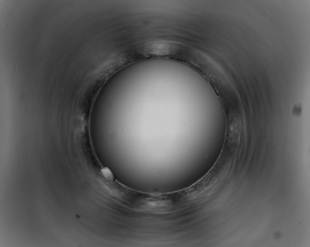 X0000101480555200807141417