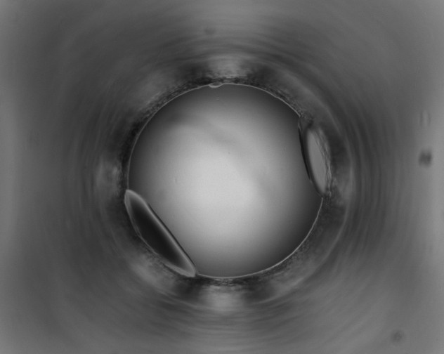 X0000101480556200807141417