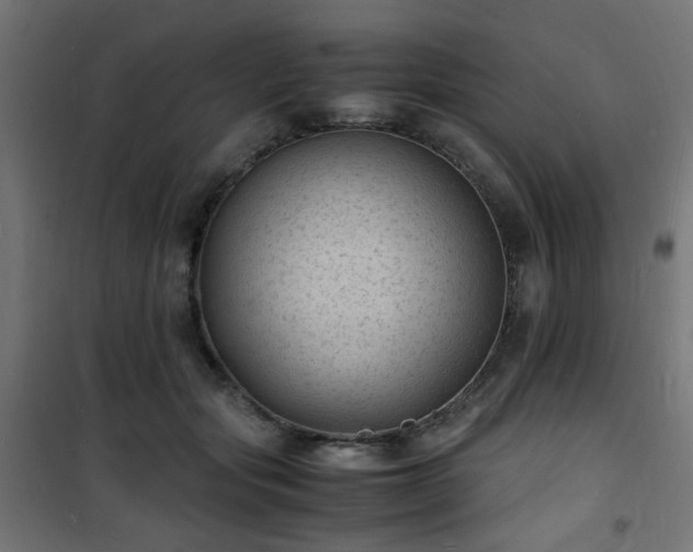 X0000101480557200807141417