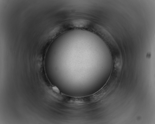 X0000101480559200807141417