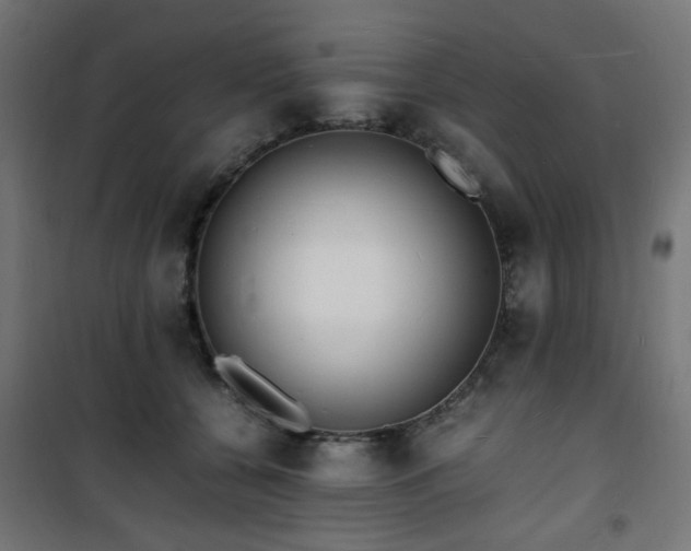 X0000101480560200807141417