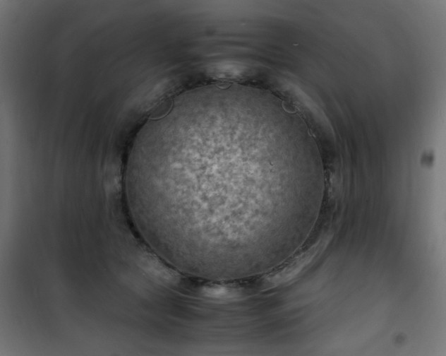 X0000101480561200807141417