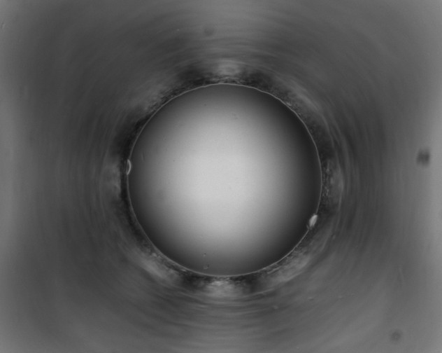 X0000101480562200807141417