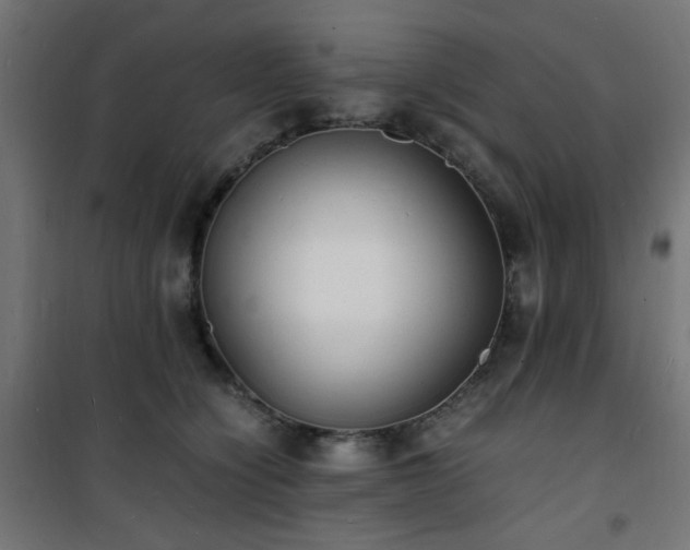 X0000101480564200807141417